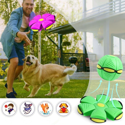 Pelota para perros interactiva 2 en 1 resistente y estimulante | FlyBool