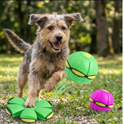 Pelota para perros interactiva 2 en 1 resistente y estimulante | FlyBool