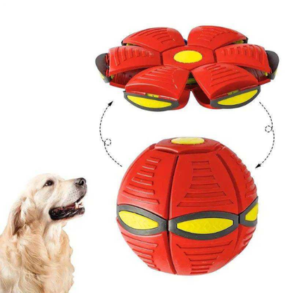 Pelota para perros interactiva 2 en 1 resistente y estimulante | FlyBool