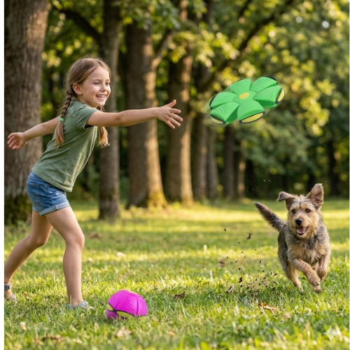 Pelota para perros interactiva 2 en 1 resistente y estimulante | FlyBool