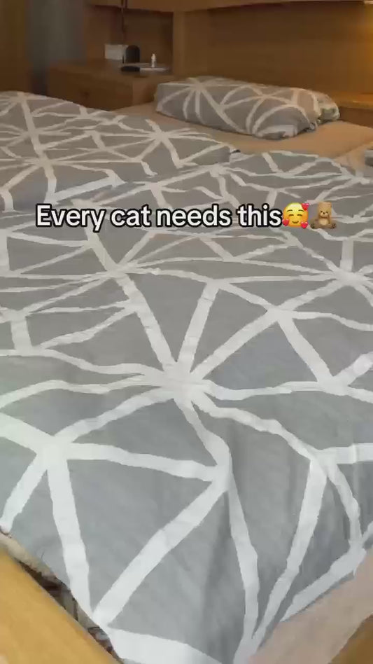 Juguete interactivo para gatos que reduce el aburrimiento y el estrés | FlyBird