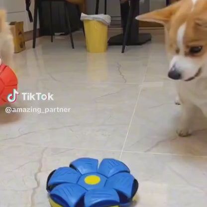 Pelota para perros interactiva 2 en 1 resistente y estimulante | FlyBool