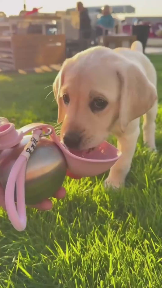 Botella de Agua Portátil para Perros | Acero Inoxidable | AquaGo™